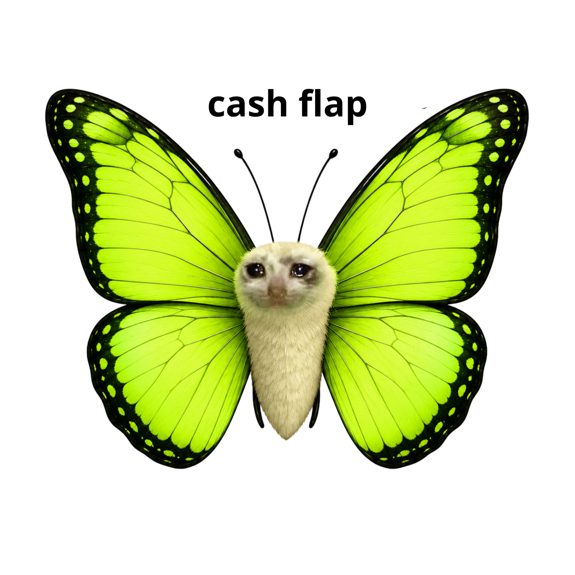 Cash Flap mascot